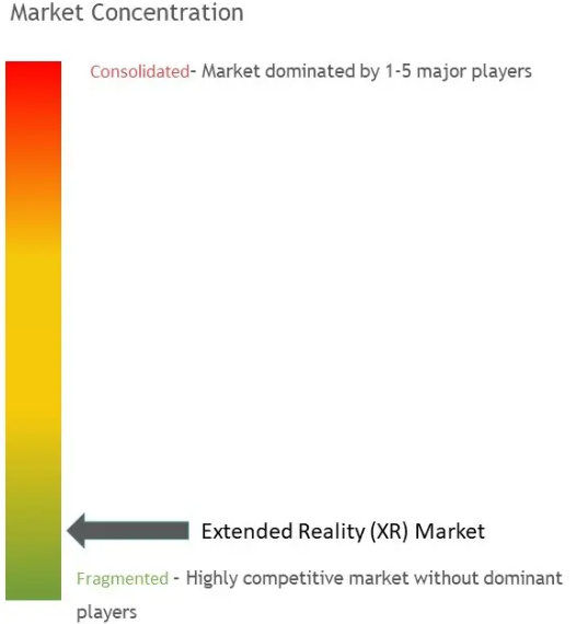 Extended Reality (XR) Market Concentration